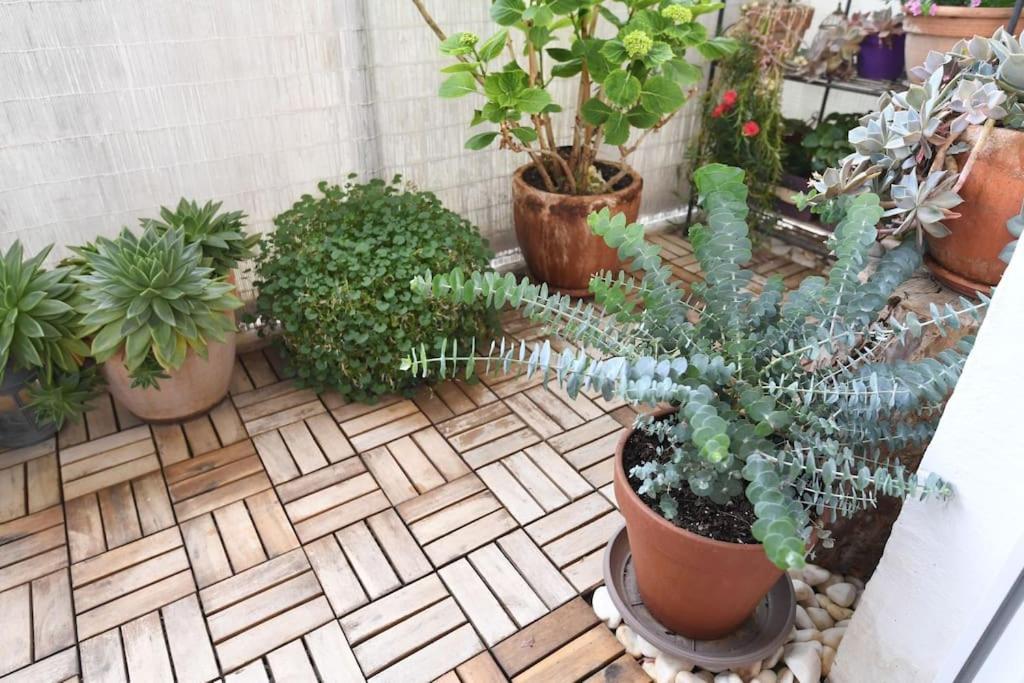 Apartman Ilijana Zadar Ngoại thất bức ảnh